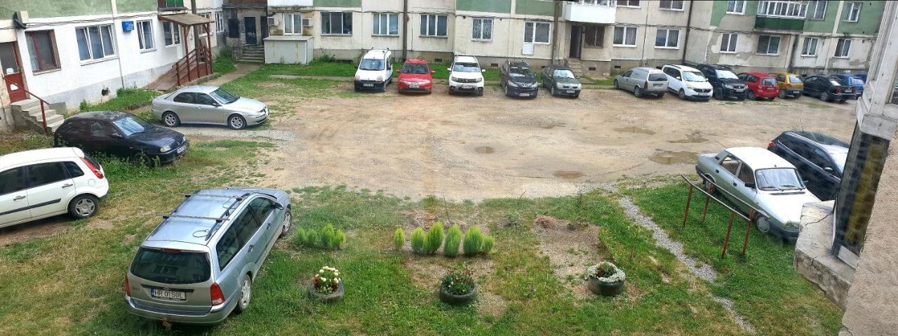 Apartment Orhidea